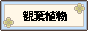 �ʐ^